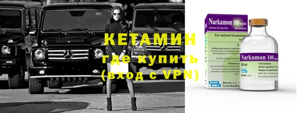 прущие грибы Абинск
