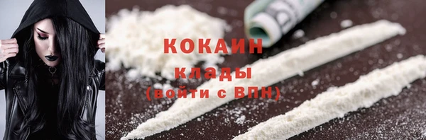 прущие грибы Абинск