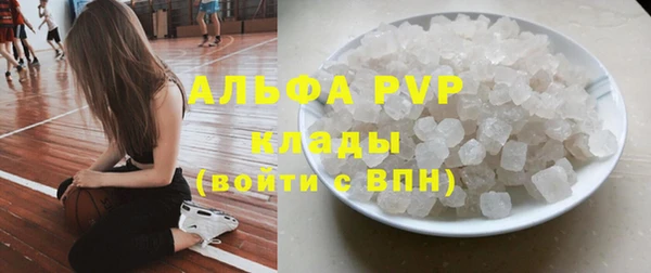 прущие грибы Абинск