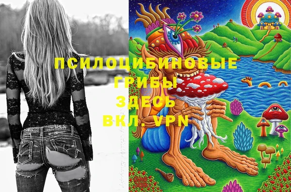 прущие грибы Абинск