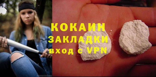 прущие грибы Абинск